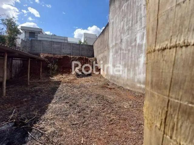 Terreno comercial para Locação em Uberlândia/MG Vigilato Pereira