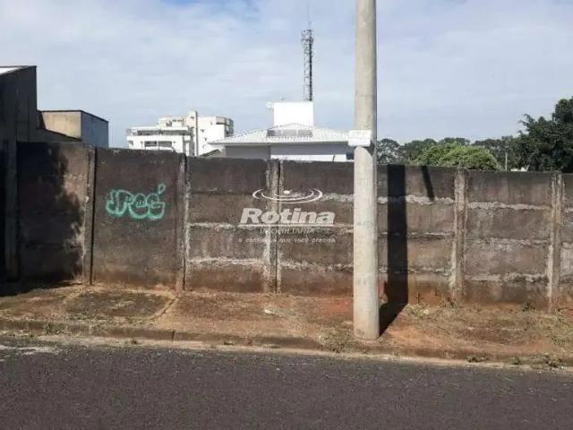 Terreno comercial para Locação em Uberlândia/MG Vigilato Pereira