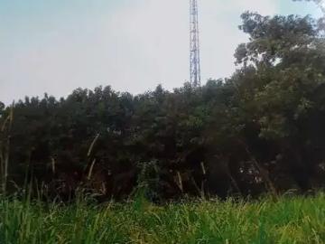 Terreno comercial para Locação em Valinhos/SP Ortizes