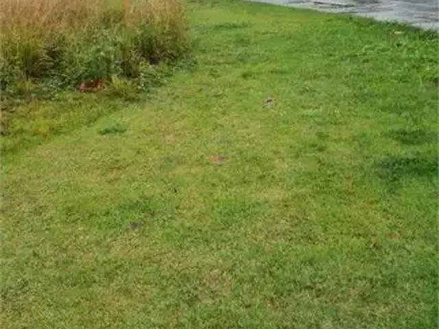 Terreno comercial para Locação em Vinhedo/SP Centro