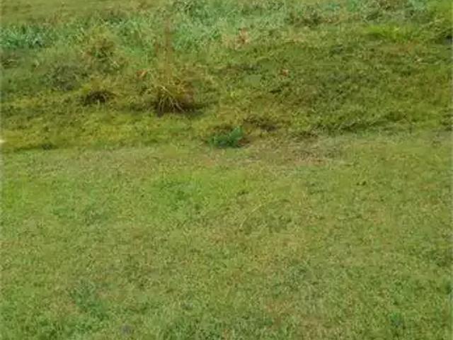 Terreno comercial para Locação em Vinhedo/SP Centro