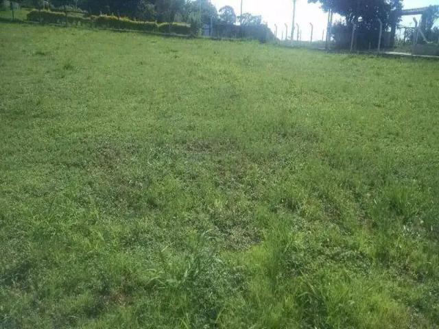 Terreno comercial para Locação em Vinhedo/SP Área Rural de Vinhedo