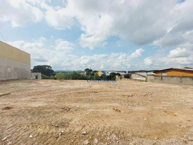 Terreno comercial para Locação em Almirante Tamandaré/PR Campina do Arruda