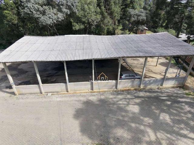 Terreno comercial para Locação em Almirante Tamandaré/PR Boichininga