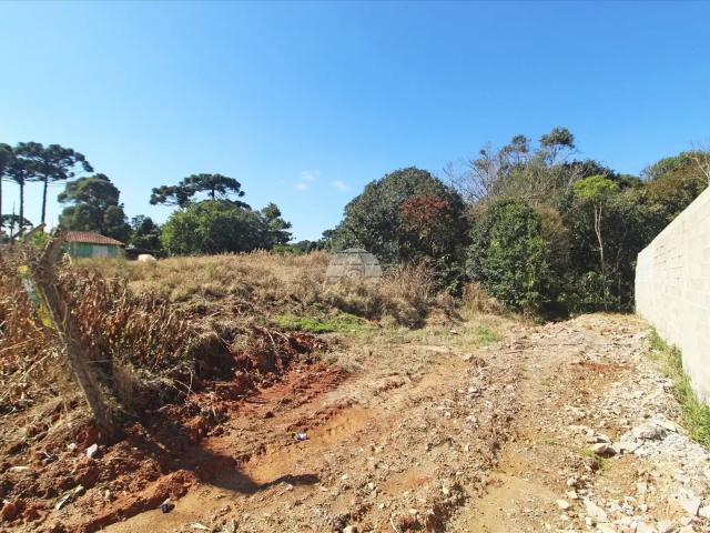 Terreno comercial para Locação em Almirante Tamandaré/PR Jardim Marambaia