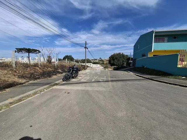 Terreno comercial para Locação em Almirante Tamandaré/PR Jardim Campo Verde 1 Quartos