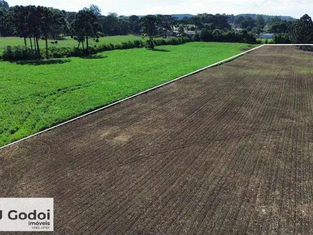 Terreno comercial para Locação em Almirante Tamandaré/PR Tranqueira