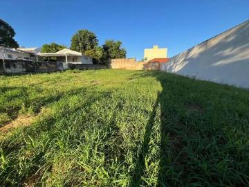 Terreno comercial para Locação em Americana/SP Vila Santa Catarina