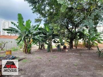 Terreno comercial para Locação em Americana/SP Centro