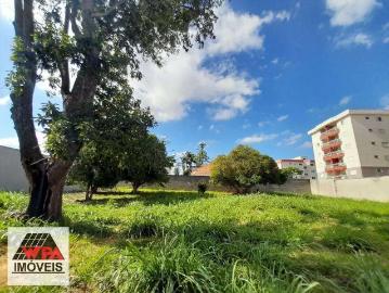 Terreno comercial para Locação em Americana/SP Jardim São Roque