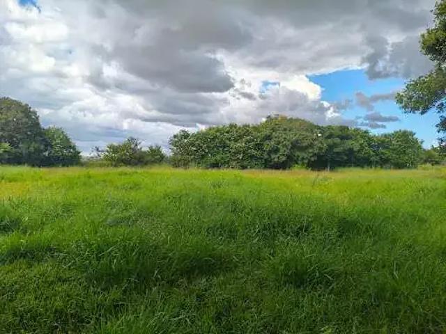 Terreno comercial para Locação em Anápolis/GO Vila Jaiara
