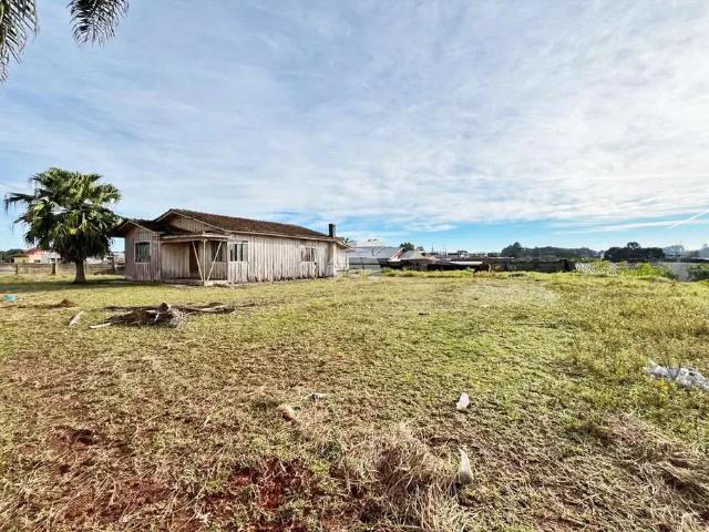 Terreno comercial para Locação em Araucária/PR Thomaz Coelho