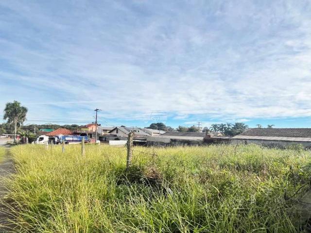 Terreno comercial para Locação em Araucária/PR Thomaz Coelho
