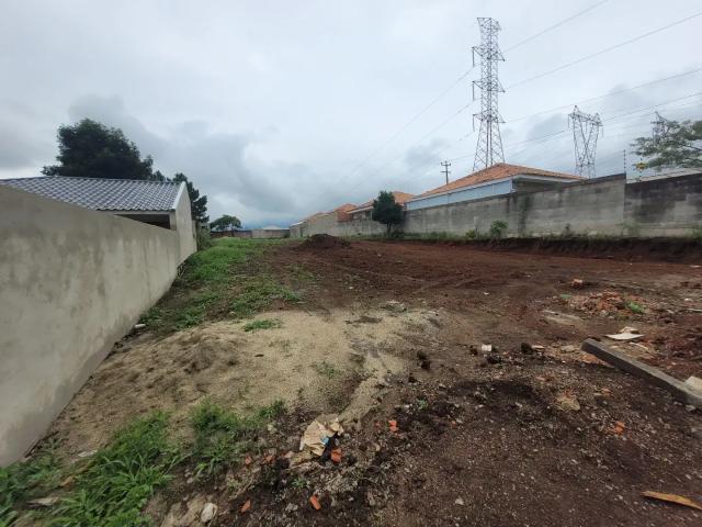 Terreno comercial para Locação em Araucária/PR Campina da Barra
