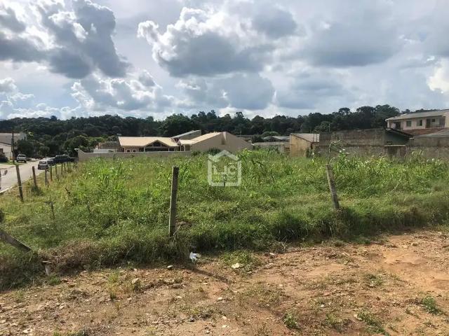 Terreno comercial para Locação em Araucária/PR Centro