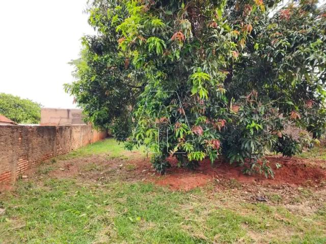 Terreno comercial para Locação em Araçatuba/SP Vila Mendonça