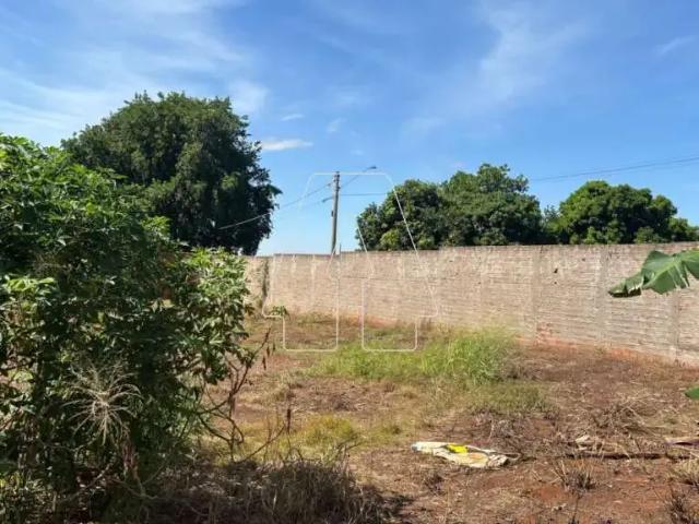 Terreno comercial para Locação em Araçatuba/SP Petit Trianon