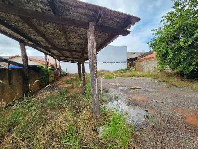 Terreno comercial para Locação em Araçatuba/SP São João