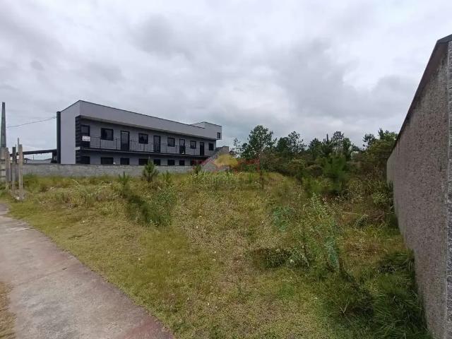 Terreno comercial para Locação em Araquari/SC Areias Pequenas
