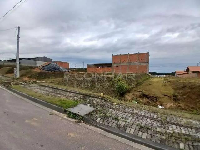 Terreno comercial para Locação em Araquari/SC Itinga