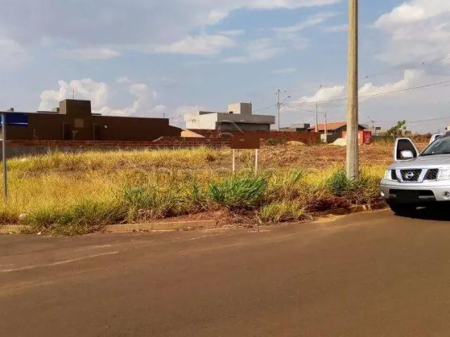 Terreno comercial para Locação em Bady Bassitt/SP Jardim Menezes