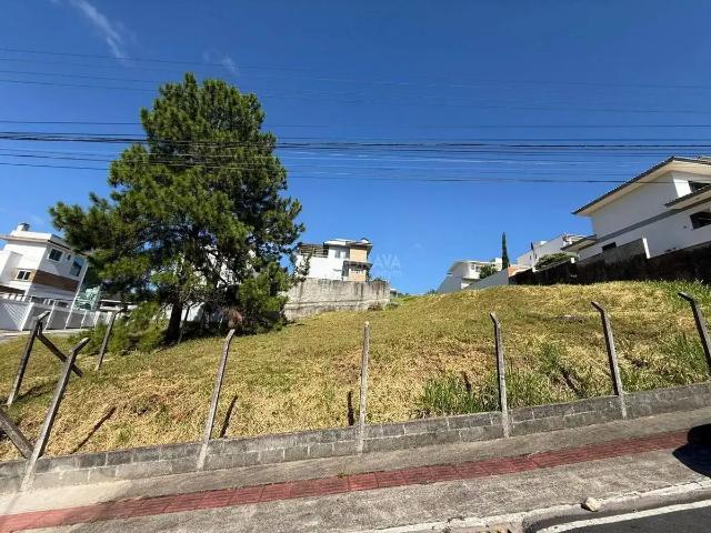 Terreno comercial para Locação em Balneário Camboriú/SC Ariribá