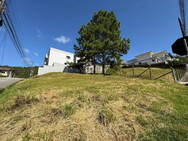 Terreno comercial para Locação em Balneário Camboriú/SC Ariribá