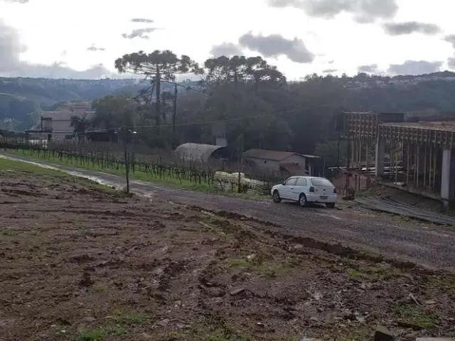 Terreno comercial para Locação em Bento Gonçalves/RS Vale dos Vinhedos Distrito