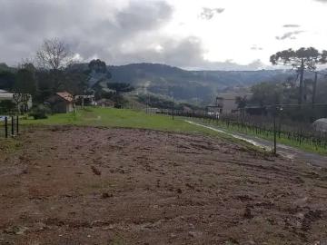 Terreno comercial para Locação em Bento Gonçalves/RS Vale dos Vinhedos Distrito