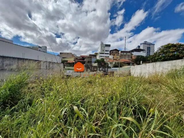 Terreno comercial para Locação em Belo Horizonte/MG Nova Floresta