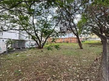 Terreno comercial para Locação em Belo Horizonte/MG Castelo