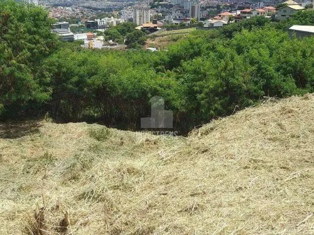 Terreno comercial para Locação em Belo Horizonte/MG Estoril