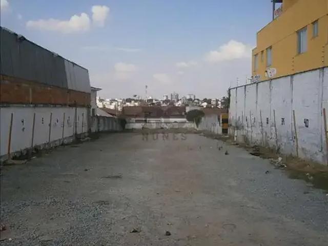 Terreno comercial para Locação em Belo Horizonte/MG Santa Amélia