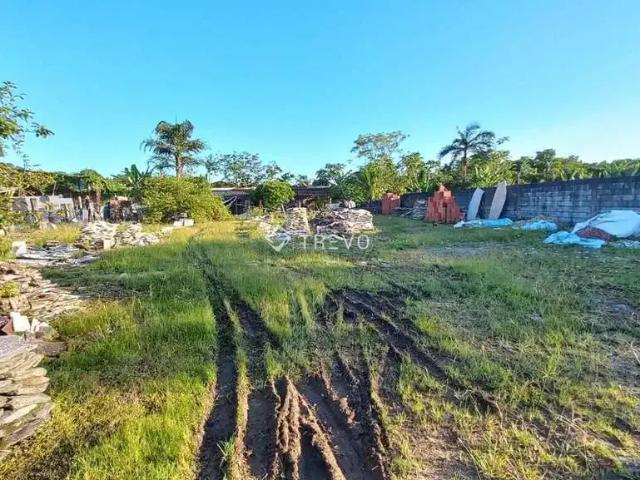 Terreno comercial para Locação em Bertioga/SP Maitinga
