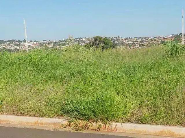 Terreno comercial para Locação em Cambé/PR Jardim Vitória