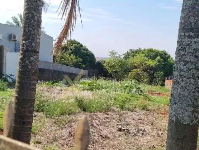 Terreno comercial para Locação em Cambé/PR Vila Mesquita