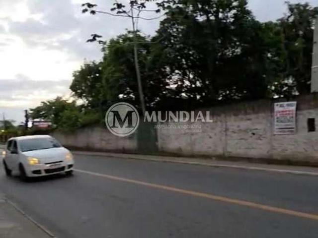 Terreno comercial para Locação em Camboriú/SC São Francisco de Assis