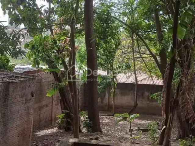 Terreno comercial para Locação em Campinas/SP Nova Campinas