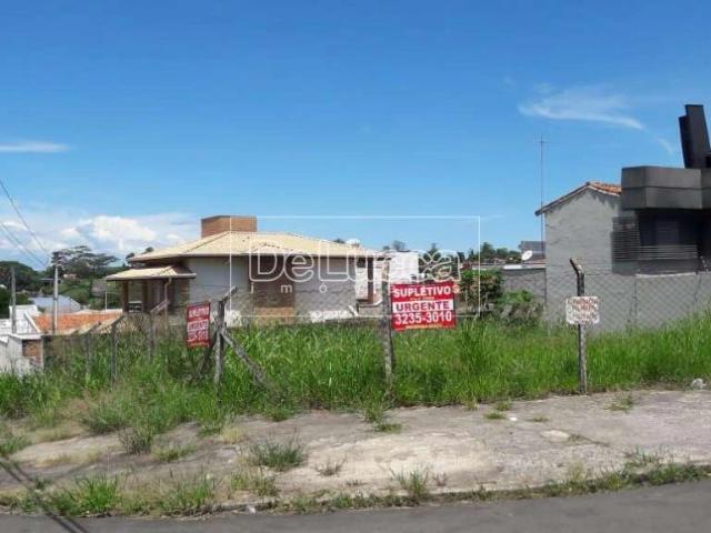 Terreno comercial para Locação em Campinas/SP Nova Campinas