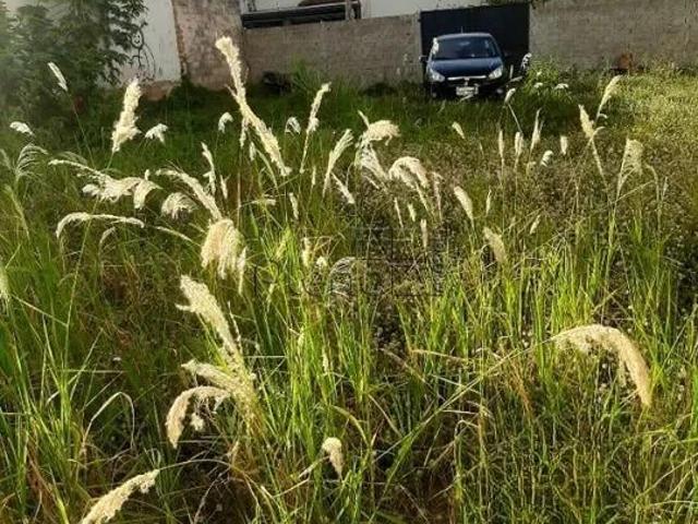 Terreno comercial para Locação em Campinas/SP Botafogo
