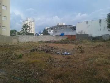 Terreno comercial para Locação em Campinas/SP Cambuí