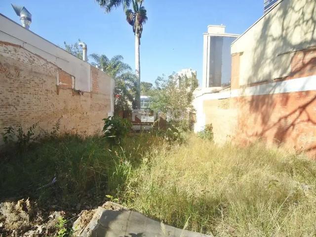 Terreno comercial para Locação em Campinas/SP Cambuí