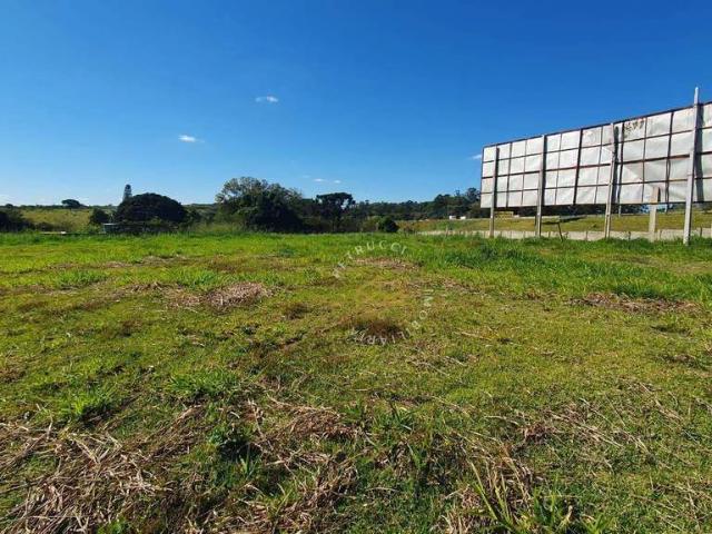 Terreno comercial para Locação em Campinas/SP Chácaras São Martinho