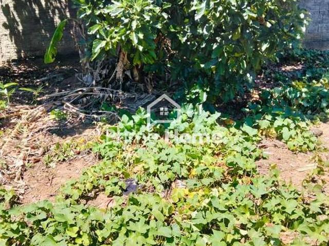 Terreno comercial para Locação em Campinas/SP Jardim Cura D'Ars