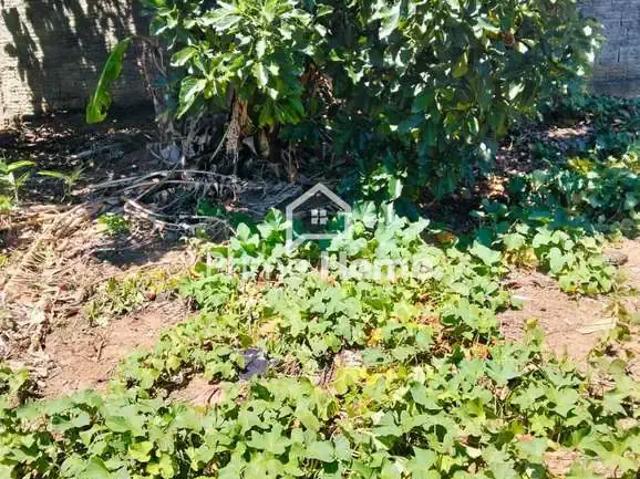 Terreno comercial para Locação em Campinas/SP Jardim Cura D'Ars