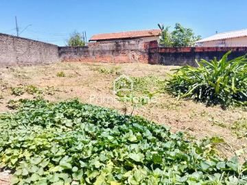 Terreno comercial para Locação em Campinas/SP Jardim Cura D'Ars