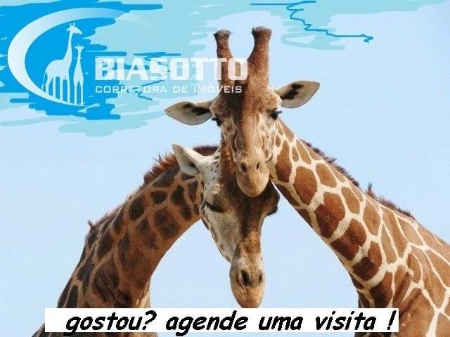 Terreno comercial para Locação em Campinas/SP Jardim das Paineiras