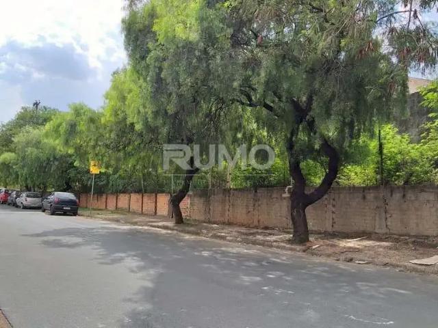 Terreno comercial para Locação em Campinas/SP Jardim dos Oliveiras