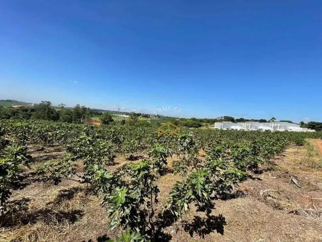 Terreno comercial para Locação em Campinas/SP Jardim São Domingos