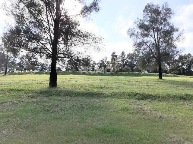 Terreno comercial para Locação em Campinas/SP Loteamento Alphaville Campinas